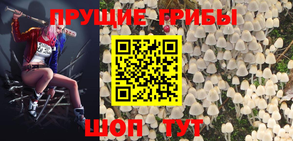 Королёв  Галлюциногенные грибы Psilocybe  Вход с VPN 